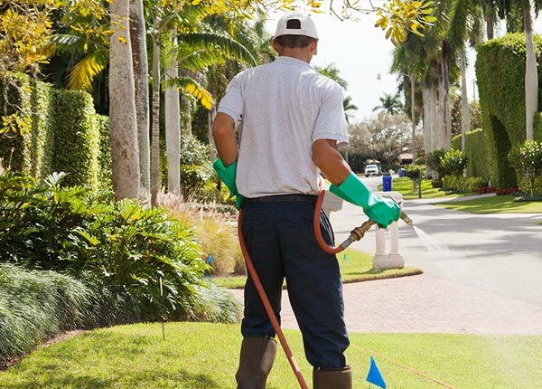 About Exeter MO Pest Control